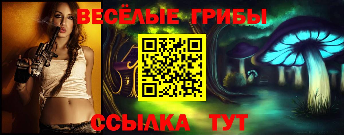 Вятские Поляны  Псилоцибиновые грибы мицелий  Вход с VPN 