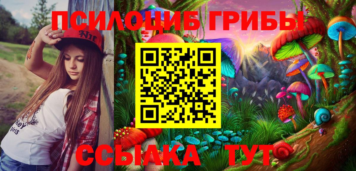 Псилоцибиновые грибы мицелий Вятские Поляны